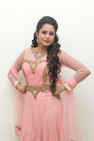 Himaja Photos at Shivam Audio Release